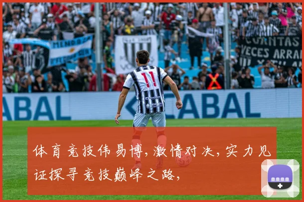 体育竞技伟易博,激情对决,实力见证探寻竞技巅峰之路,