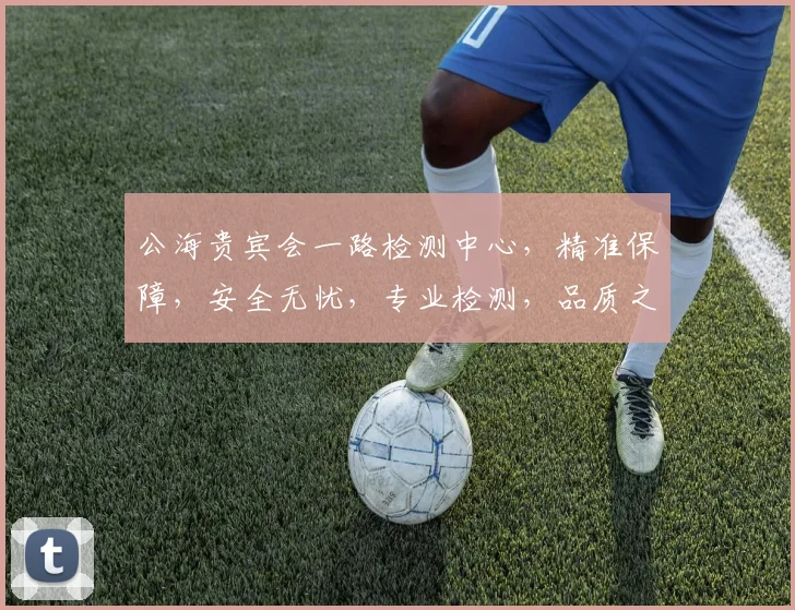 公海贵宾会一路检测中心，精准保障，安全无忧，专业检测，品质之选，全程呵护